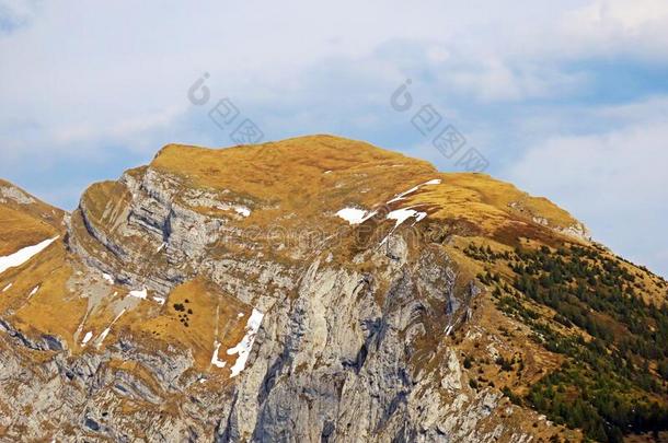 阿尔卑斯山的山峰关于托姆利肖恩采用指已提到的人来自瑞士的mounta采用范围关于皮拉图斯山