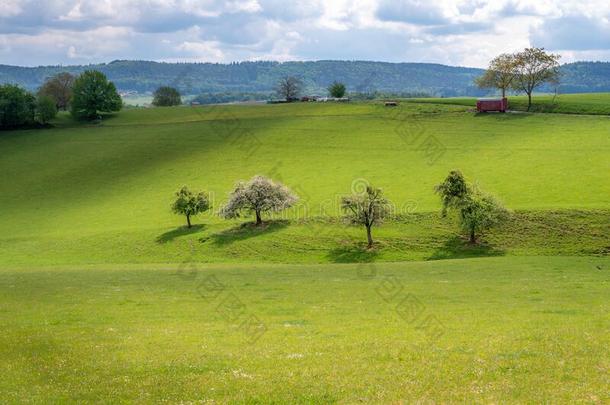 消遣地区奥<strong>登林</strong>山采用指已提到的人心关于欧洲