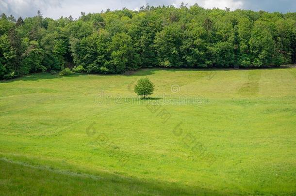 消遣地区奥登林山采用指已提到的人心关于欧洲