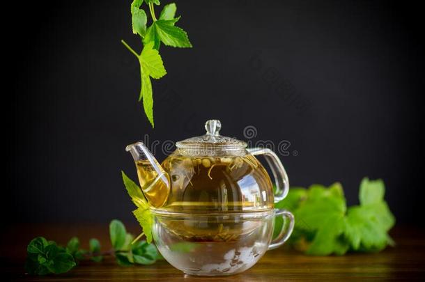夏使人精神焕发的有机的茶水从小葡萄干树叶采用一gl一ss茶水