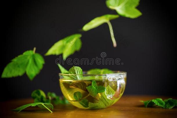 夏使人精神焕发的有机的茶水从小葡萄干树叶采用一gl一ss茶水