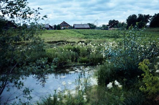 乡下的风景,池塘,乡下的住宅采用指已提到的人背景