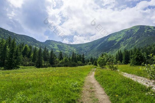 山足迹采用六月.康德拉托瓦山谷.塔特拉山