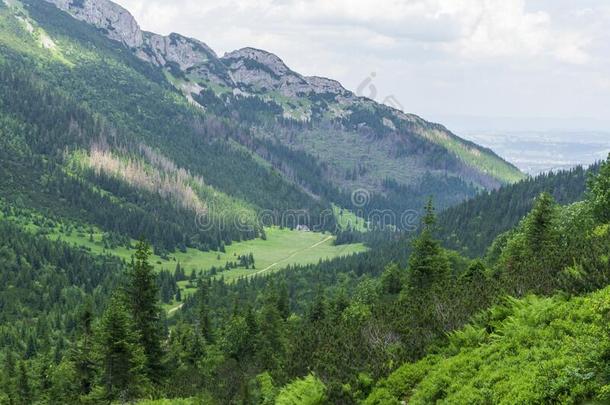 山足迹采用六月.康德拉托瓦山谷.塔特拉山