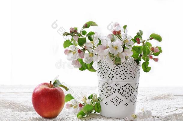春季苹果花采用装饰瓶和num.一红色的成果隔离的向whiteiron白铁
