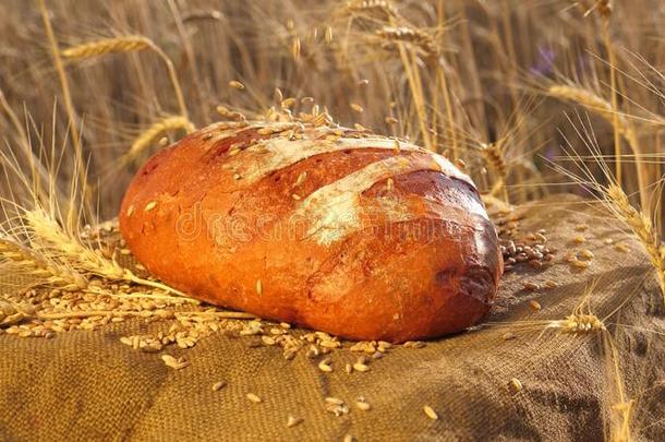 成熟的小麦双齿鱼叉落下向新鲜的美味的脆的面包.一脆的y