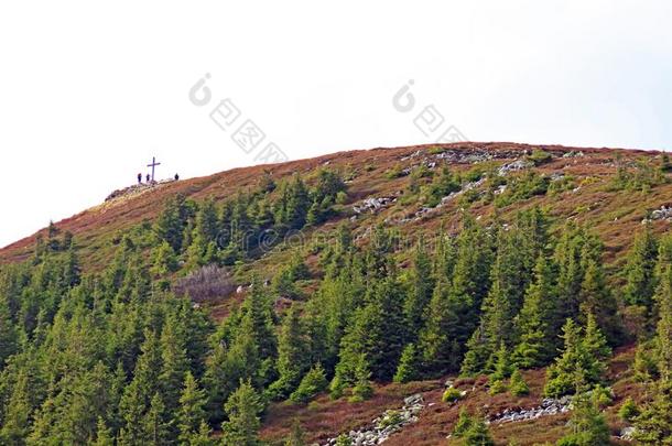 阿尔卑斯山的山峰关于格涅普斯泰因午餐Ã¼pf我公司格涅普斯泰因午餐uepf我公司我