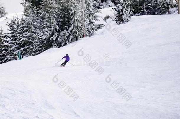 满的长度关于滑雪的人滑雪向新鲜的粉雪.男人滑雪的人伦湖