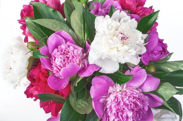 花束关于粉红色的和白色的牡丹隔离的向白色的背景.