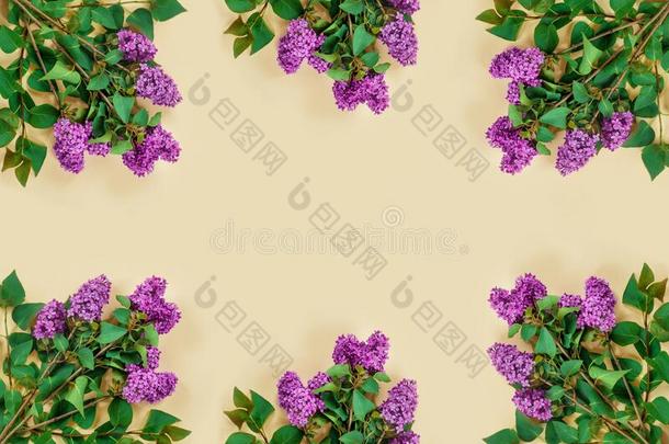 紫色的丁香花属采用现代的方式向米黄色纸背景.海报