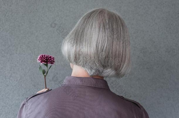 优美的灰色-有毛发的女人佃户租种的土地红色的花