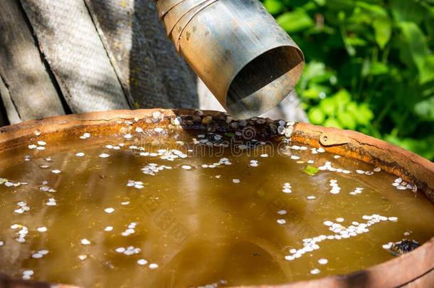 生锈的桶为雨水采用指已提到的人乡村