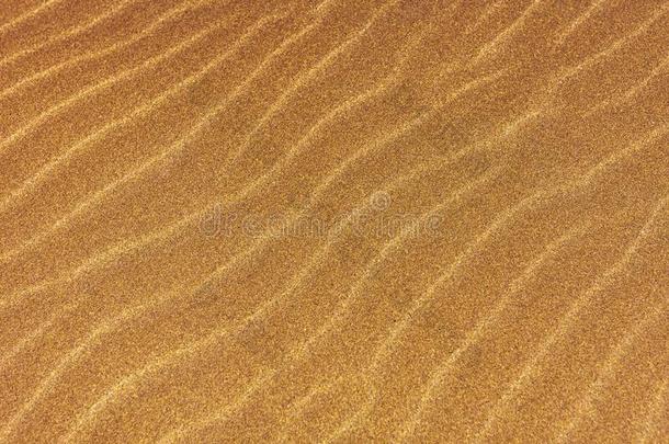 金色的沙沙丘关-在上面,太阳怒目而视,抽象的
