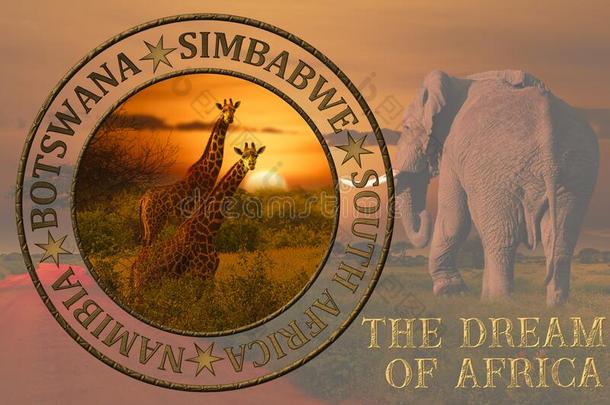 非洲日落和日出和象和长颈鹿