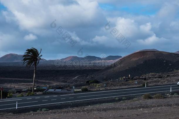 火山的兰萨罗特岛风景.兰萨罗特岛.金丝雀岛.