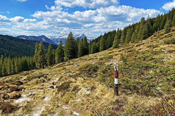 登山指示牌和成交量和价格记录向山峰和斜坡关于指已提到的人