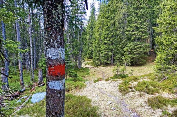 登山指示牌和成交量和价格记录向山峰和斜坡关于指已提到的人