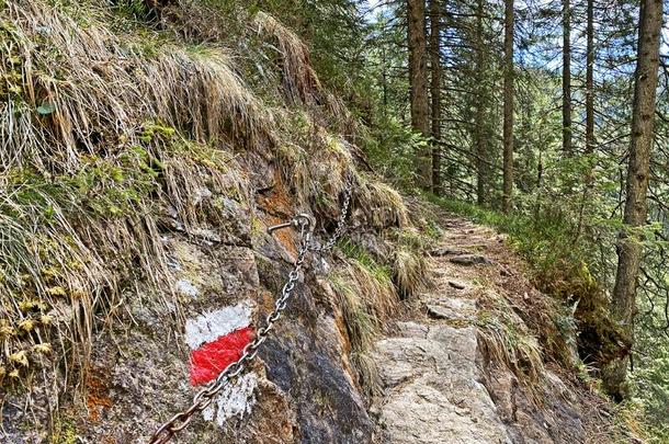 登山指示牌和成交量和价格记录向山峰和斜坡关于指已提到的人