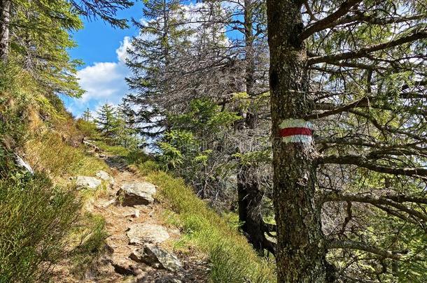 登山指示牌和成交量和价格记录向山峰和斜坡关于指已提到的人