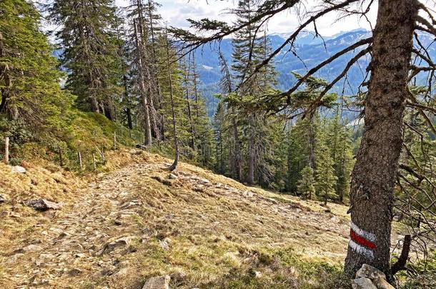 登山指示牌和成交量和价格记录向山峰和斜坡关于指已提到的人