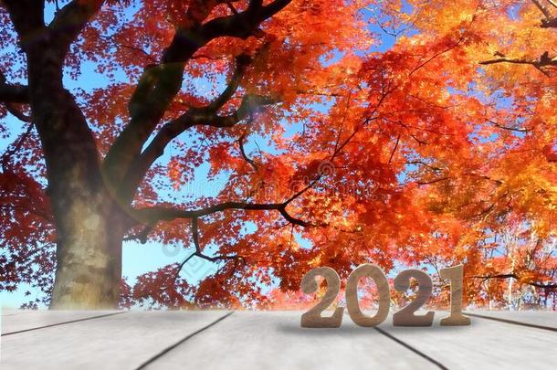 木制的数字2021向木板向枫树树树叶背景