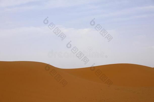 撒哈拉沙漠沙漠.梅尔祖加摩洛哥羊皮革