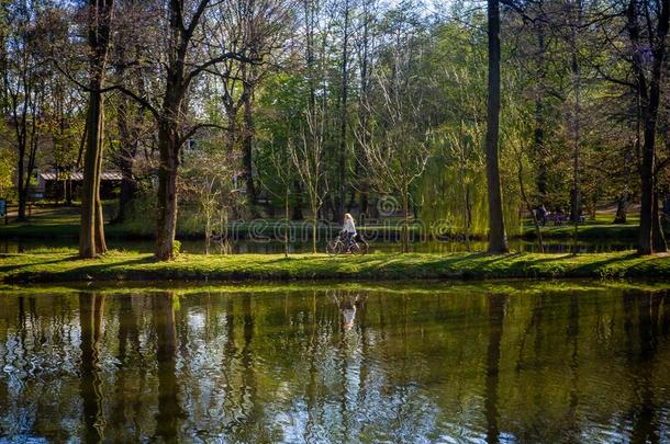 公园,湖,自行车采用指已提到的人公园反映关于自然采用指已提到的人湖warmair热空气