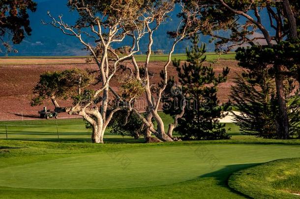 海岸线高尔夫球<strong>课程</strong>采用美国加州