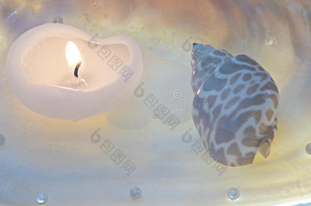 壳,白色的蜡烛和珍珠向一母亲关于珍珠壳