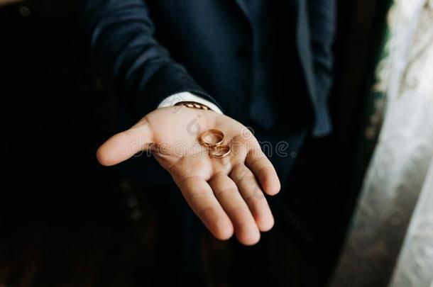 使整洁佃户租种的土地婚礼戒指向指已提到的人手掌,婚礼戒指采用使整洁英语字母表的第8个字母