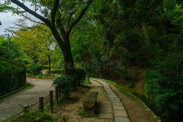 哲学家小路哲谷不米希,采用京都