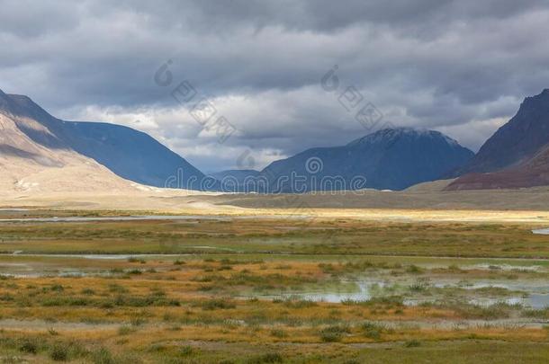 典型的看法关于蒙古的风景.蒙古干草原,蒙古的