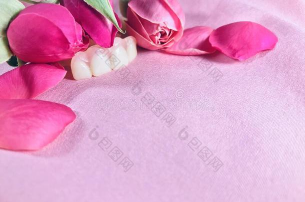 假牙和玫瑰向粉红色的背景.<strong>唯美</strong>主义照片.