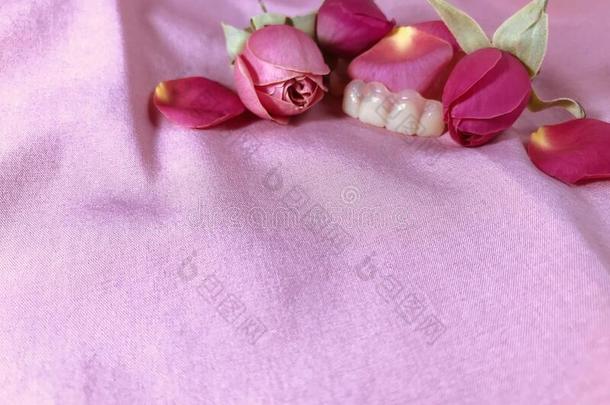 假牙和玫瑰向粉红色的背景.唯美主义照片.