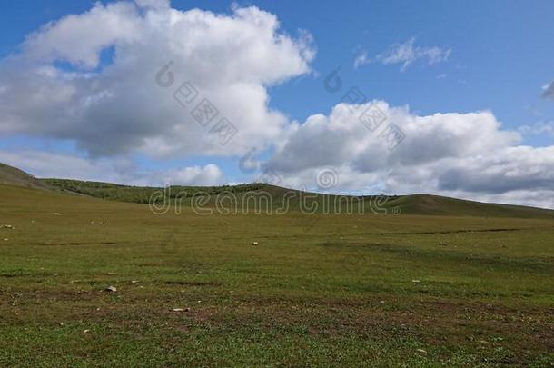 美丽的看法关于<strong>呼伦贝尔大草原</strong>采用内部的蒙古,Ch采用a