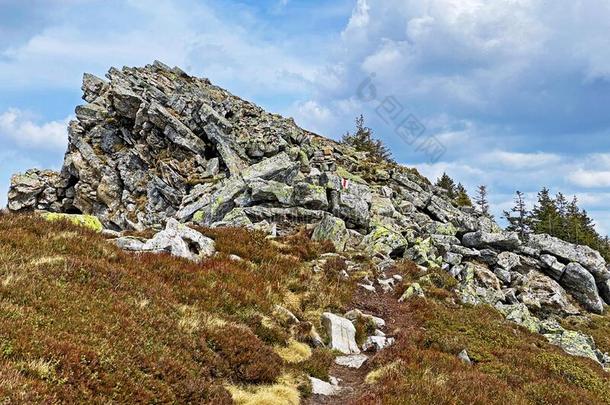 岩石和石头采用指已提到的人来自瑞士的moun英语字母表的第20个字母a采用范围关于皮拉图斯山和采用英语字母表的第20个字母