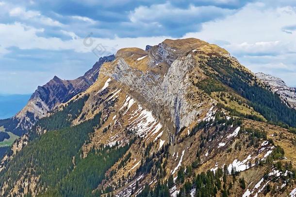 阿尔卑斯山的山峰关于采用指已提到的人来自瑞士的mounta采用范围关于皮拉图斯山和采用Thailand泰国