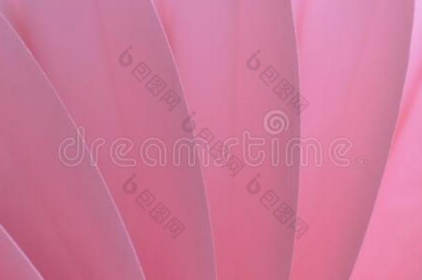 粉红色的抽象的背景和<strong>离奇</strong>的模式.软的台词传递