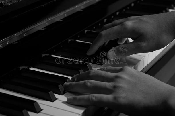 演奏钢琴采用指已提到的人工作室和黑的和白色的声调