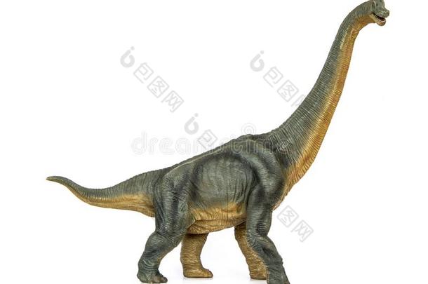 恐龙长的收缩的蜥脚类动物迪尔米博特产名字腕龙