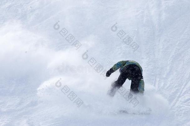 雪山飞魂滑雪