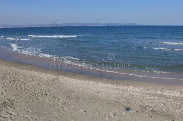 秋海滩采用波莫里,保加利亚