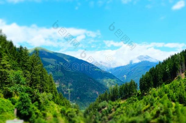 奥地利人阿尔卑斯山的绿色的夏森林,Raggachlucht,奥地利