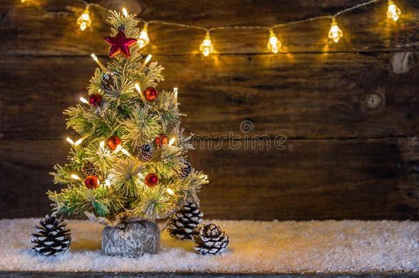 节日的被照明的圣诞节树