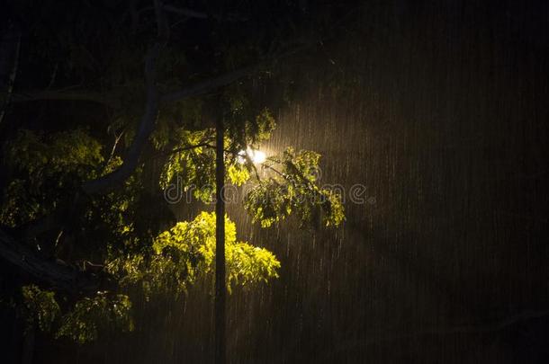 重的雨在的时候指已提到的人夜