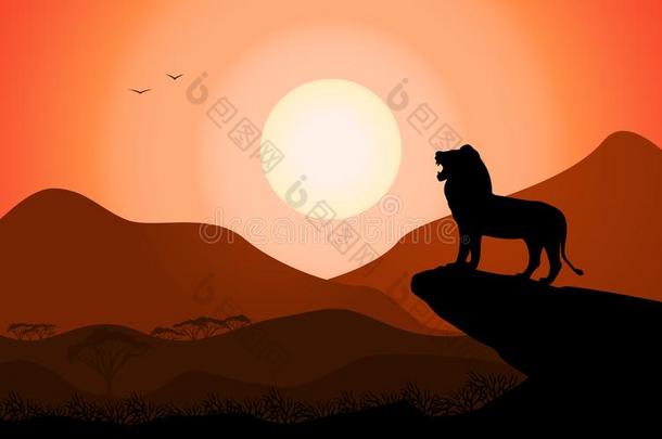 矢量轮廓国王狮子非洲的自然