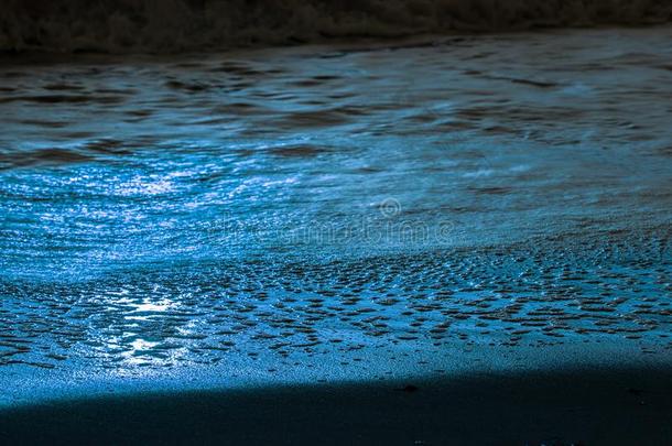 蓝色月亮光反射的从落下潮水的海浪向指已提到的人沙