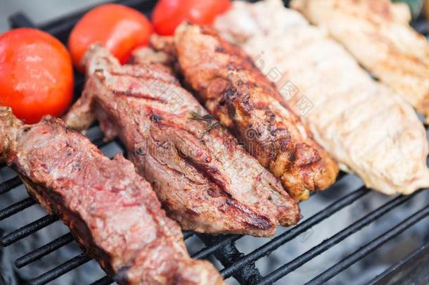 猪肉肉片烹饪术向烧烤在barbecue吃烤烧肉的野餐社交聚会