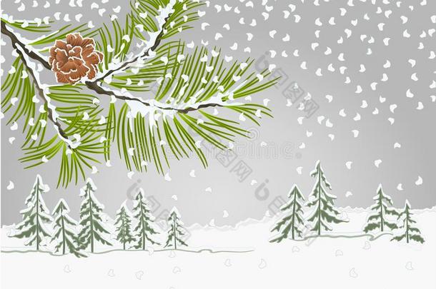 冬风景松树树枝和雪和松树圆锥体圣诞节英语字母表的第20个字母