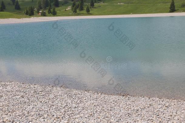 阿尔卑斯山的池塘和结晶清楚的水和沙砾岸